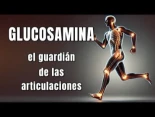 Glucosamina: el guardián de las articulaciones