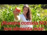 La deficiencia nutricional en nuestros alimentos