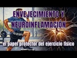 Envejecimiento y neuroinflamación: el papel protector del ejercicio físico