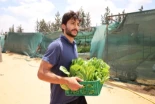 Jóvenes agricultores libios apuestan por la acuaponía ante la persistente sequía en Libia
