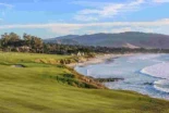 Una gaviota le roba la cartera a un golfista en Pebble Beach [ENG]