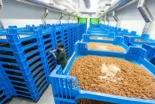 Quiebra la mayor granja de insectos de Europa para obtener proteína pese a recibir casi 200 millones en ayudas públicas