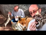 Pequeños carnívoros en extinción. Vida de un naturalista protegiendo linces, zorros y más animales