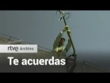¿Te acuerdas? La histeria por los pararrayos radiactivos - [archivos rtve 2012]