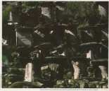 La apicultura en Asturias (I)