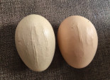¿Alguien sabe por qué salen estas grietas en algunos huevos? ¿Es normal?