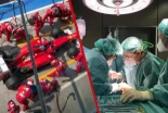 Gracias a la F1 mueren menos niños tras operarse: los médicos de los hospitales empezaron a hacer lo mismo que los mecánicos en una parada de boxes