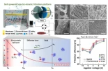 Investigadores surcoreanos desarrollan filtro autónomo que elimina más del 99% de nanoplásticos menores de 50 nm sin necesidad de energía externa