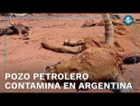 Pozo petrolero abandonado mata fauna, flora y desplaza familias desde 2023 en Argentina