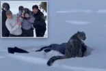 Esquiadora atacada por un leopardo de las nieves tras acercarse demasiado para una foto [ENG]