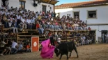 Sin niños en las corridas: el Gobierno quiere vetar la entrada de menores a eventos que exhiban violencia contra animales