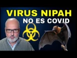 VIRUS NIPAH: Por qué preocupa a los médicos (La Verdad)