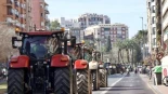 Las demandas que protestan los agricultores murcianos