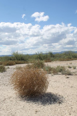 Diario Red. Elecciones Aragón. Seguimiento del proceso electoral y opinión