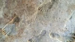 Huellas de 23.000 años en Nuevo México ponen en jaque la llegada tardía a América