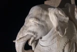 Aparece roto uno de los colmillos del elefante de Bernini en Roma
