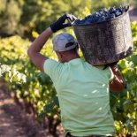 La inmigración evita el 60% del agujero económico que causa el envejecimiento pero no frena el deterioro del nivel de vida