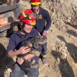 Rescate de la perra Mamba en Valdemoro: 20 horas bajo tierra