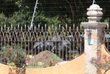 Estudiante italiano es golpeado en sepelio de 'El Mencho' en Zapopan, Jalisco