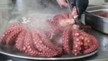 Asturias suspenderá la campaña del pulpo hasta junio si no se recuperan las capturas en marzo