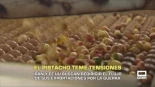 El pistacho teme tensiones comerciales por la guerra en Irán