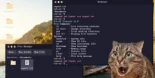 Crean un sistema operativo con vibecoding, y tiene resultados desastrosos: no va el Internet y ni siquiera funciona el DOOM de 1993