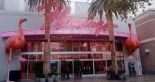 Detenido un turista por robar un flamenco y torturarlo en un hotel casino en Las Vegas