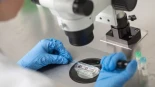 Un ginecólogo de Países Bajos engendró 16 hijos usando su propio semen en los tratamientos de fertilidad