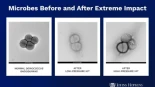 La bacteria Conan sobrevive al impacto de un meteorito [ITA]