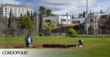 En busca del palacio de Abderramán: medio siglo de indagaciones para dar con el mítico al-Ruṣāfa