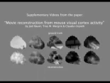 Reconstrucción en video de lo que unos ratones ven en un experimento que leía sus señales cerebrales