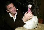 Así es la tortura de organizar un concierto de Morrissey