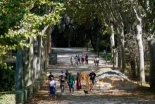La Unesco firma un duro informe contra el plan del Ayuntamiento para cuidar El Retiro y le exige revisarlo a fondo