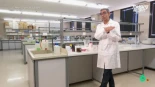 La gran mentira de las bebidas energéticas, según un catedrático de Bioquímica: "Ni muchísimo menos te proporcionan energía"