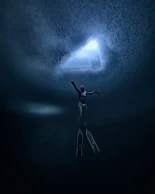 Las imágenes de los cementerios de ballenas que transforman las profundidades del mar