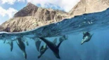 Chile: Gobierno congela protección marina y paraliza agenda ambiental completa