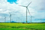 Las renovables aliviarán el precio de la luz en primavera pese al cierre del Estrecho de Ormuz, según Tempos Energía