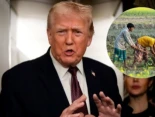 Es oficial: Donald Trump flexibiliza la contratación de trabajadores migrantes para enfrentar la escasez de mano de obra agrícola
