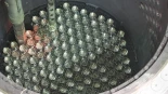 Rusia completa con éxito la prueba piloto de combustible nuclear tolerante a accidentes en Rostov (eng)