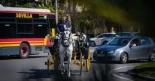 El Ayuntamiento de Sevilla tumba la propuesta de Podemos-IU y rechaza que se pregunte a los ciudadanos por los coches de caballos