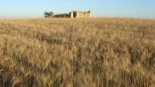 El cementerio del ateo Federico