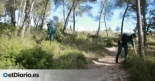 La trama del lentisco: una red saqueó bosques protegidos de Tarragona y ganó millones tras vender las plantas en Países Bajos