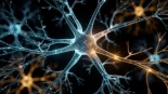 Qué le hace la ayahuasca a tu cerebro: lo que dice la neurociencia (y lo que todavía no sabe)