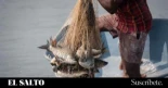 THEY, un documental sobre la pesca