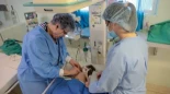 Cuba mantiene indicadores de salud y educación superiores a los de EE.UU. a pesar de seis décadas de bloqueo