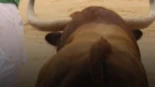 ¿La tauromaquia se sostiene con dinero público?: así ha sido la caída vertiginosa de la industria taurina a lo largo de los años