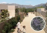 Vecinos del interior de Alicante hacen frente común para tumbar una macrourbanización noruega de lujo junto al pantano de Beniarrés