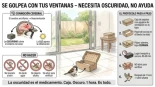 Qué hacer si un ave se golpea contra la ventana: el gesto más simple puede salvarle la vida