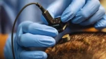 Mientras medio mundo sigue hipnotizado con la inteligencia artificial, China está empujando otra tecnología todavía más inquietante... La de los chips implantados directamente en el cerebro