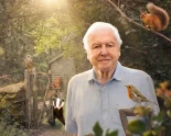 "No queríamos ser predicadores": el nuevo e inesperado programa de David Attenborough, que podría enfurecer a los amantes de los gatos [ENG]